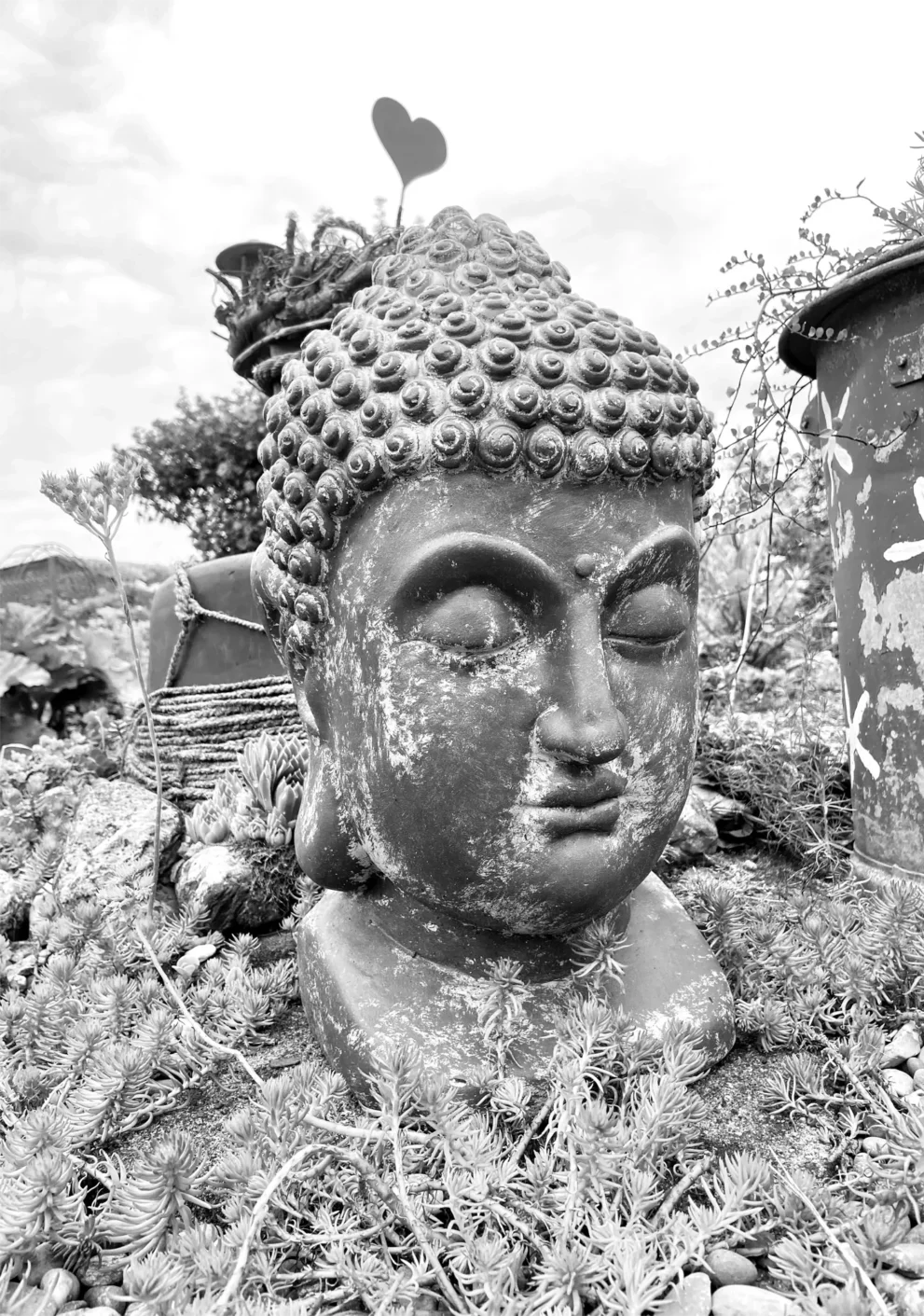 Budda