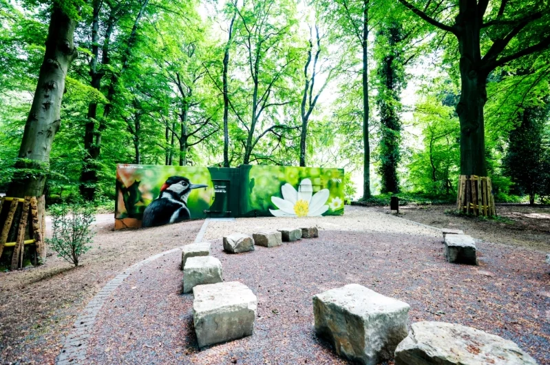 Sitzkreis aus Steinen in einem Wald